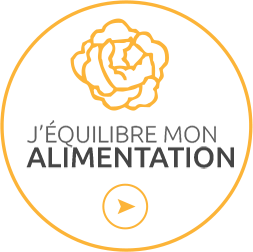Alimentation icon